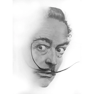 Retrato Salvador Dalí